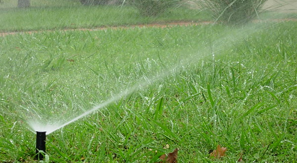 Agrocao, caos para riego